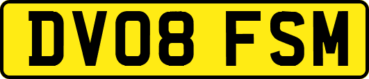 DV08FSM