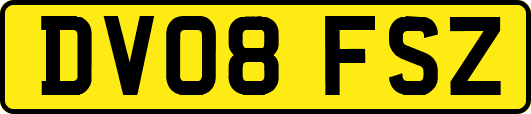 DV08FSZ