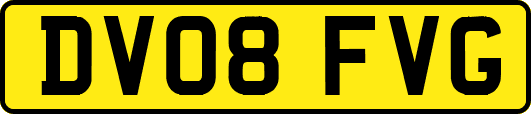 DV08FVG