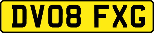 DV08FXG