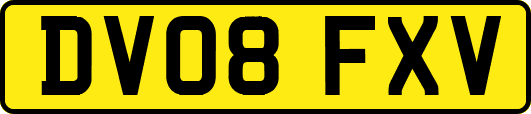 DV08FXV