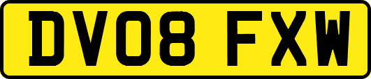 DV08FXW