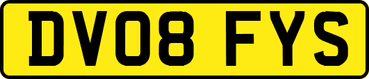 DV08FYS