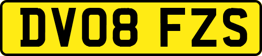 DV08FZS