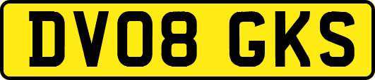 DV08GKS
