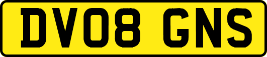 DV08GNS