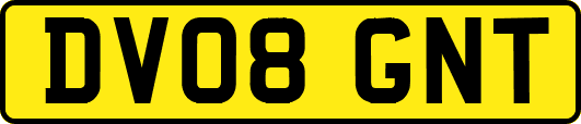 DV08GNT