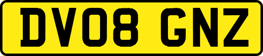 DV08GNZ