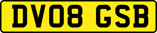 DV08GSB