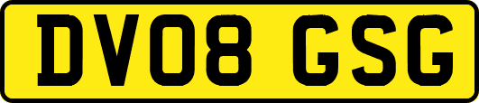 DV08GSG