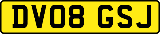 DV08GSJ