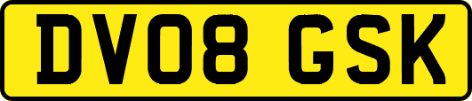 DV08GSK
