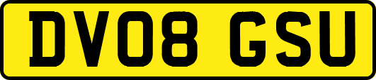 DV08GSU