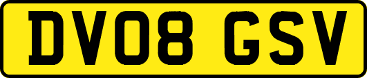 DV08GSV
