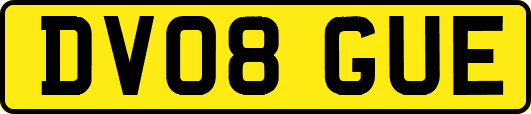 DV08GUE