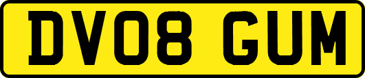 DV08GUM