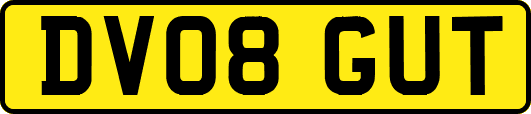 DV08GUT