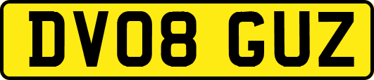 DV08GUZ