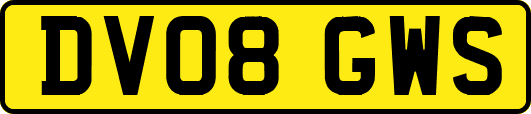 DV08GWS