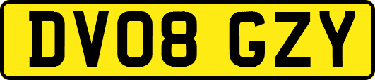 DV08GZY