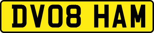 DV08HAM
