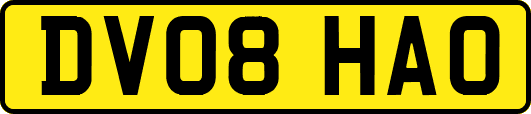 DV08HAO