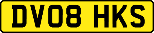 DV08HKS