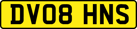 DV08HNS
