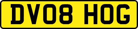 DV08HOG