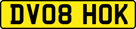 DV08HOK