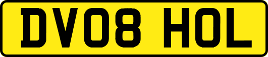 DV08HOL
