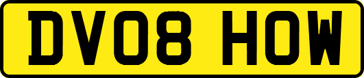 DV08HOW