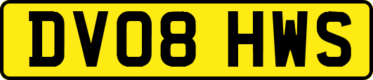 DV08HWS