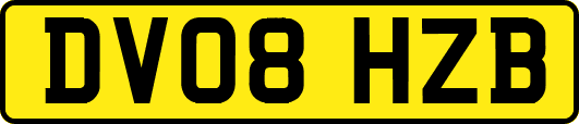 DV08HZB