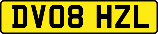 DV08HZL