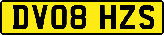 DV08HZS