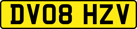 DV08HZV