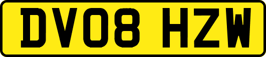 DV08HZW