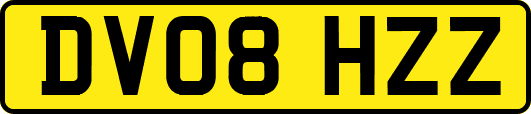 DV08HZZ