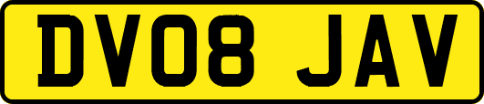 DV08JAV