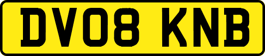 DV08KNB