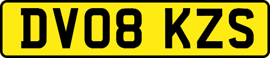 DV08KZS