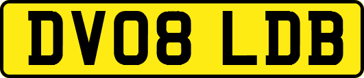 DV08LDB