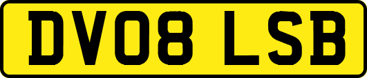 DV08LSB