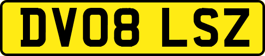DV08LSZ
