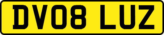DV08LUZ