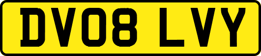 DV08LVY