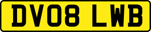 DV08LWB