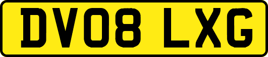 DV08LXG