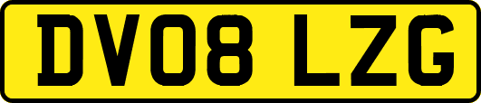 DV08LZG